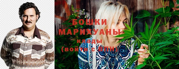 МДПВ Заводоуковск