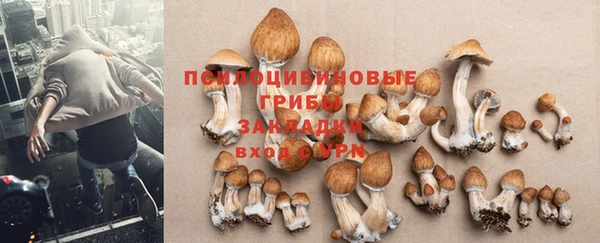 скорость Заволжск